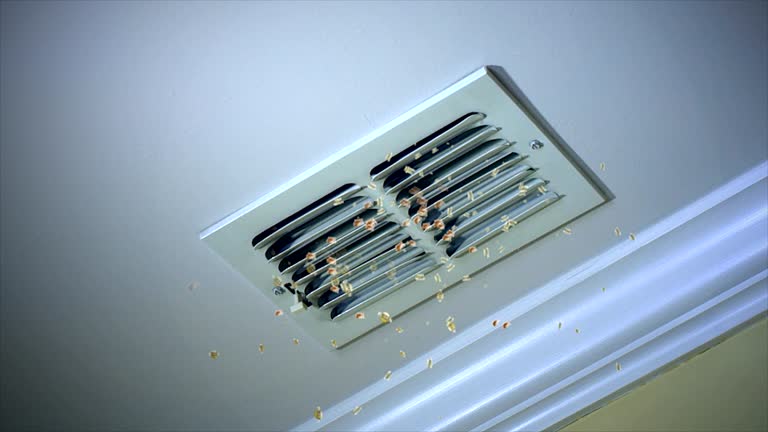Best Local Air Duct Cleaning Services  in Soh Weber, UT